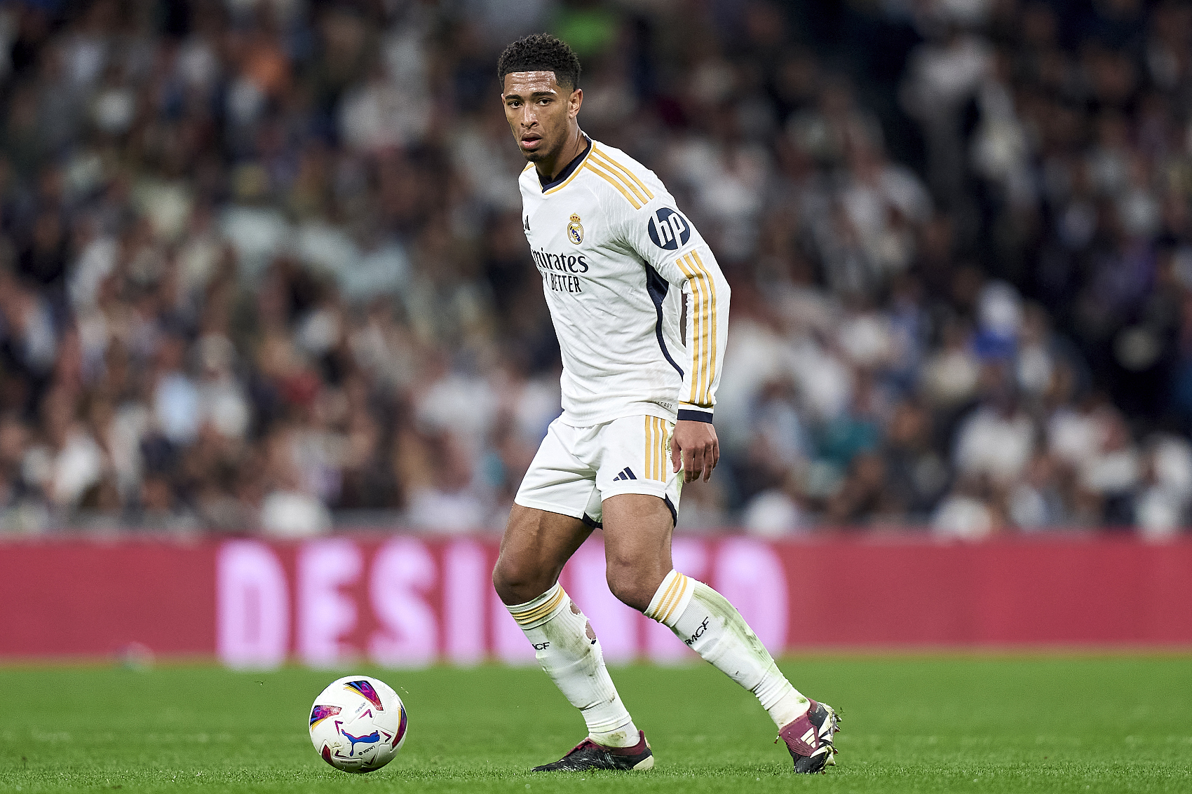 面的石川 面的石川