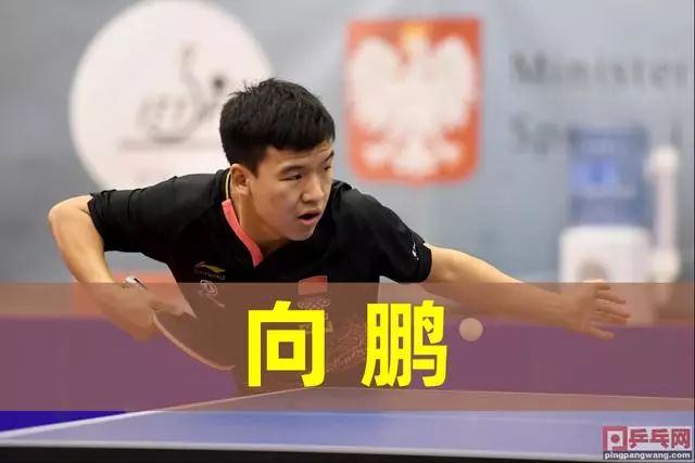 裁判在观看 裁判在观看