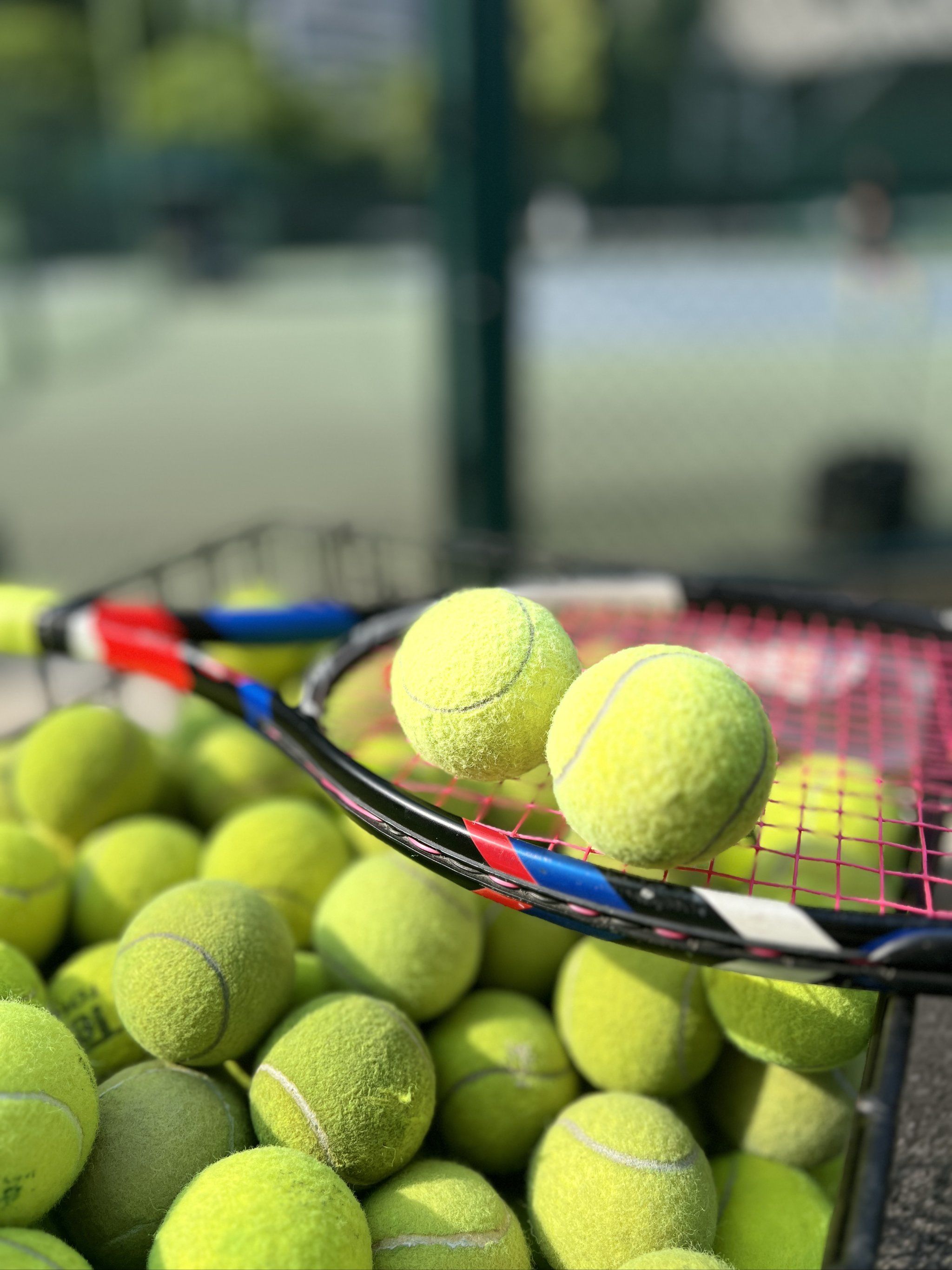 持本地化的 持本地化的