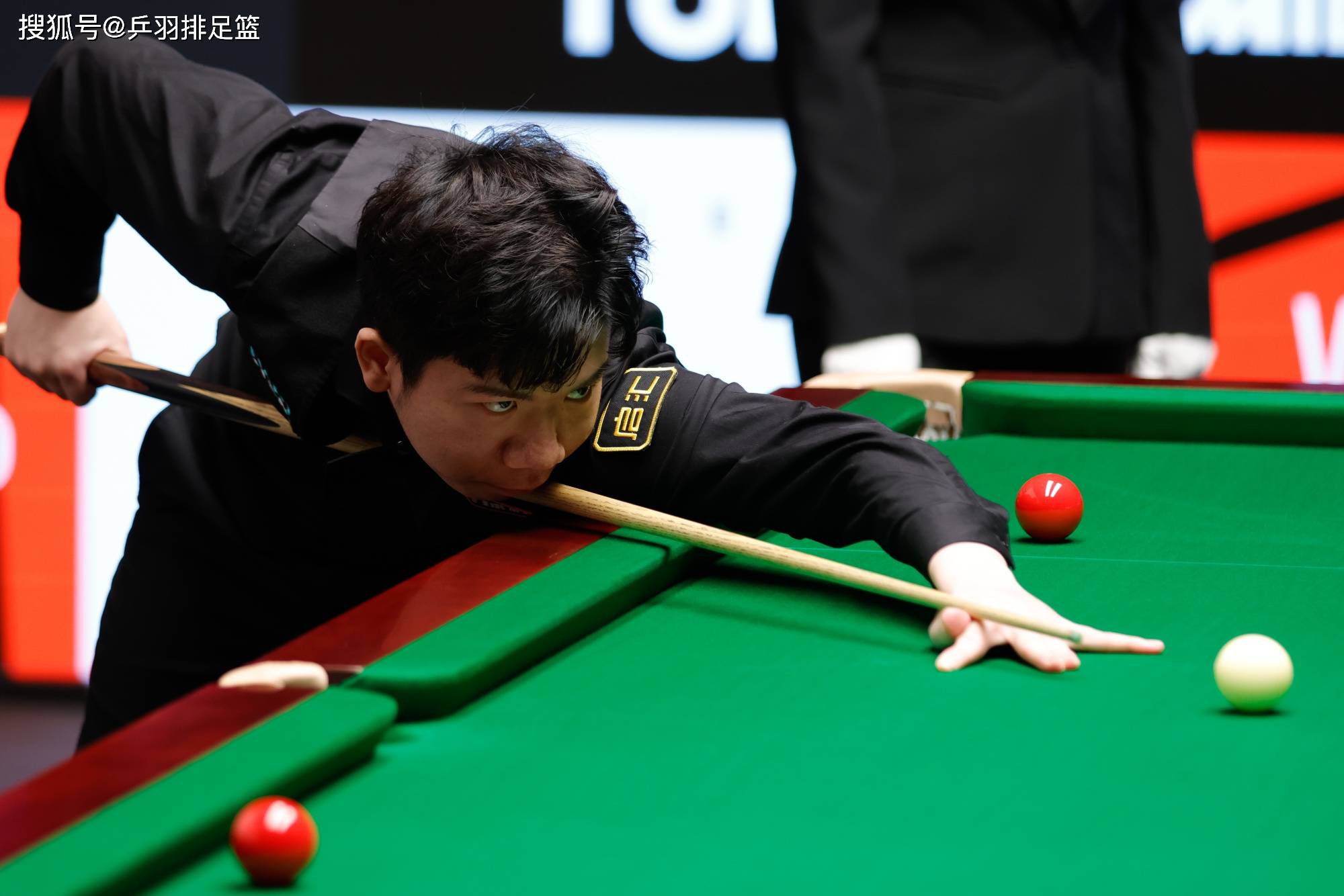 库里的成功 库里的成功